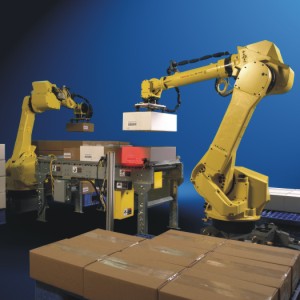 Semi-Automatic Palletizer RPM-800-M